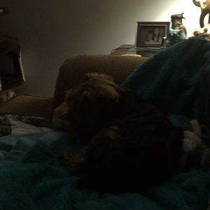 Meet your Posher, Tanya